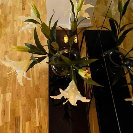 Sunny Large Flat - Location - Charming Balcony Apartament Bukareszt