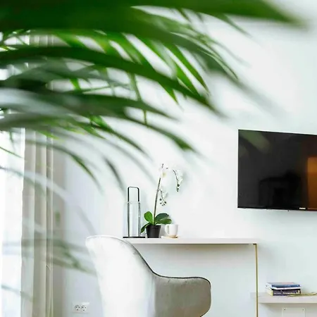 Sunny Large Flat - Location - Charming Balcony Apartment