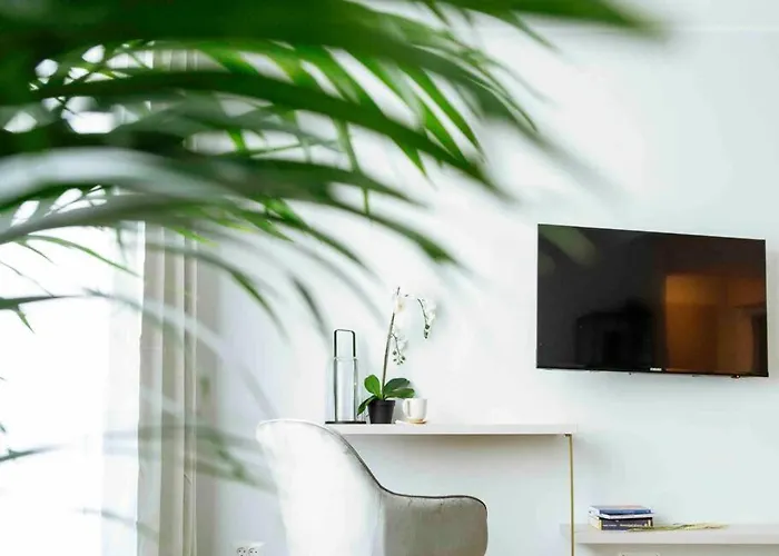 Sunny Large Flat - Location - Charming Balcony דירה